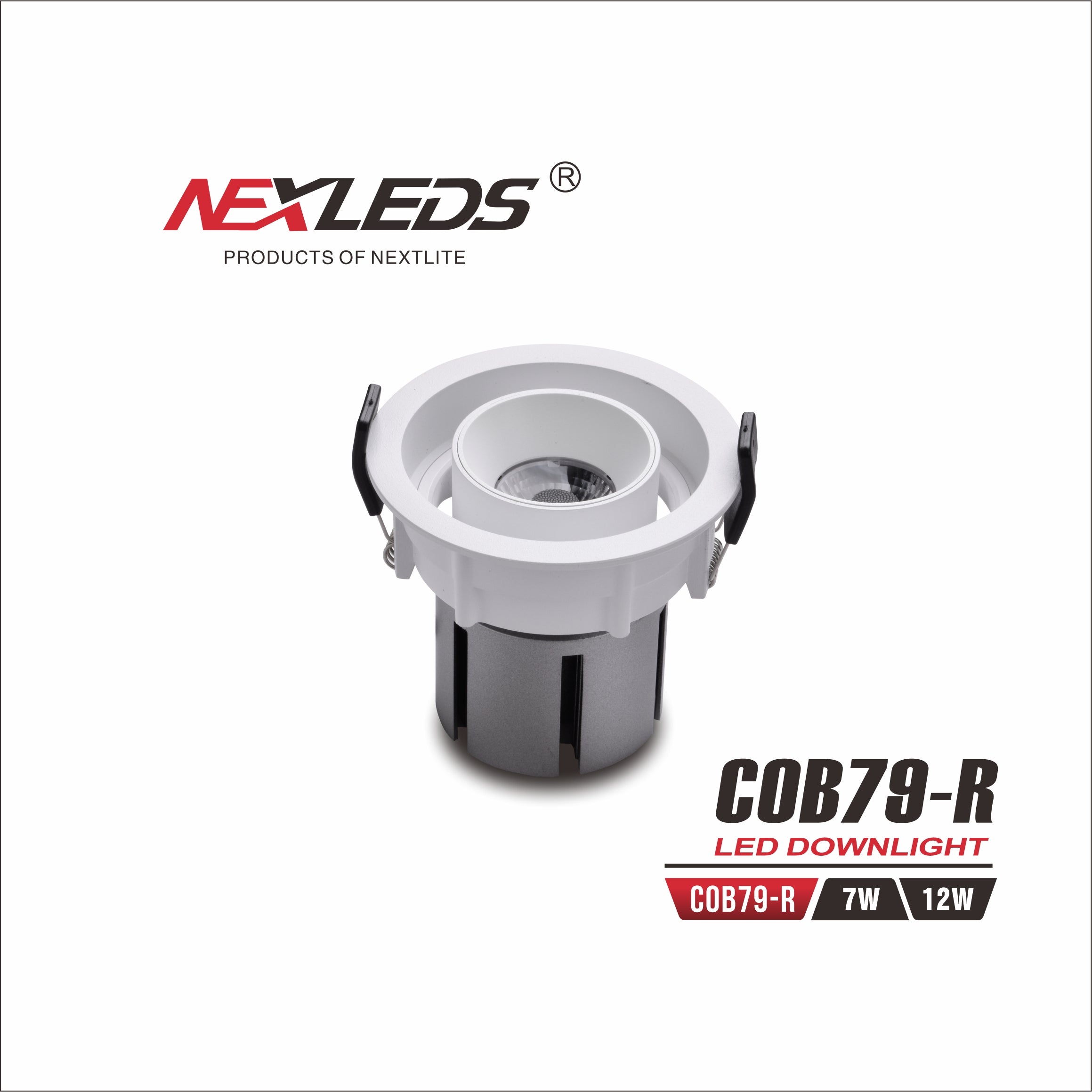 LED DOWNLIGHT COB79