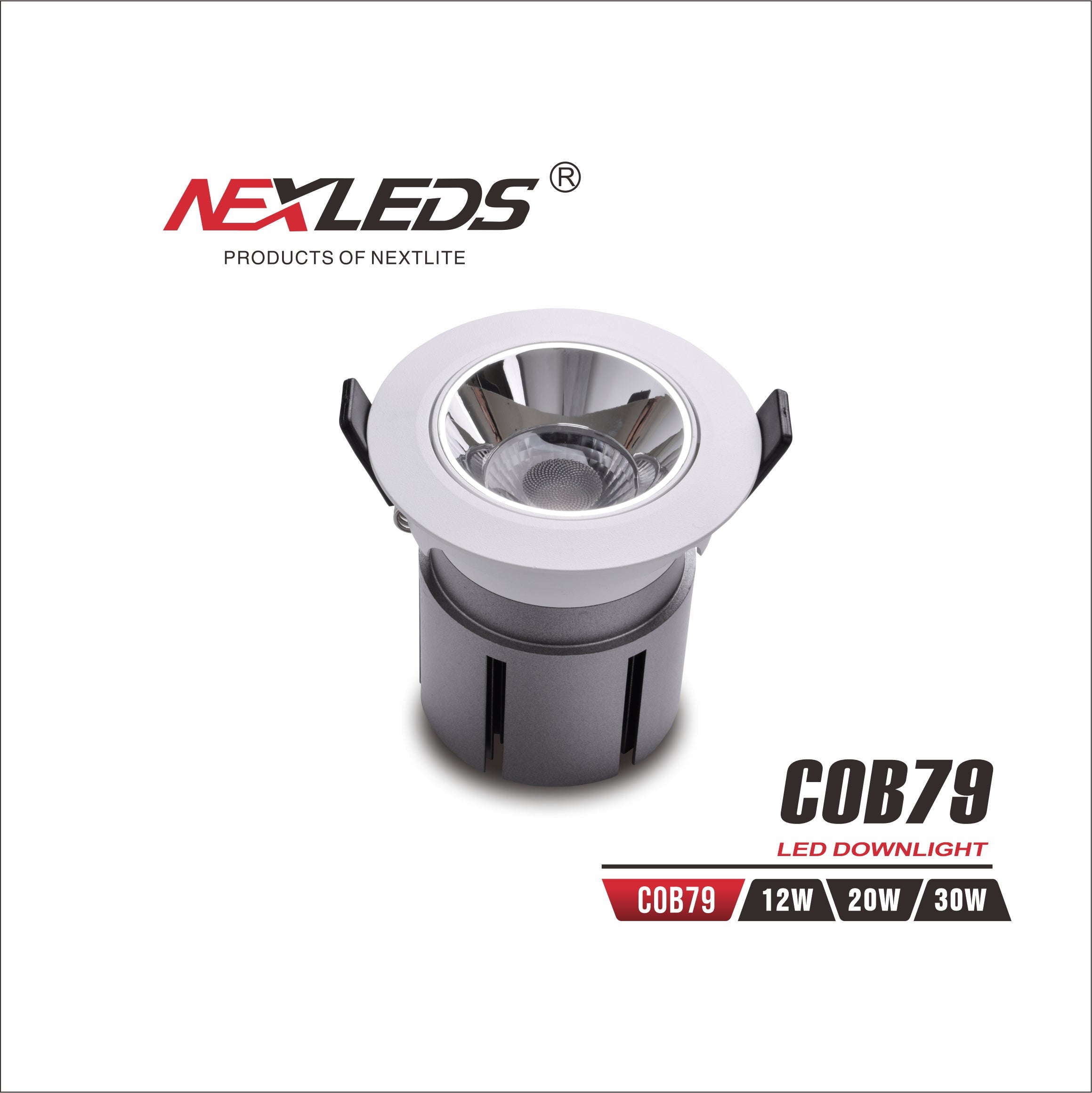LED DOWNLIGHT COB79