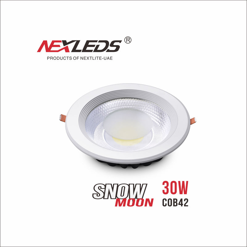 Snow Moon Downlight