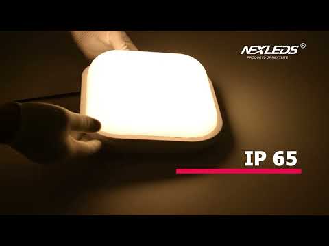 NX-MPL17-2906C-20W & 30W LED BULKHEAD