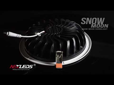 Snow Moon Downlight